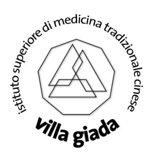 villagiada_logo