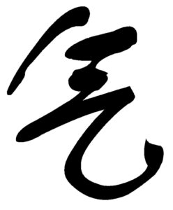 qi