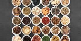 Fitoterapia cinese 中草药